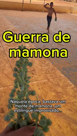 Geração feliz