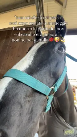 non ho perso nulla