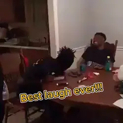 Best laugh ever! 