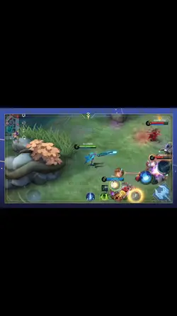 Layla highlights!