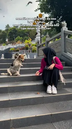 bedanya anjing dan u