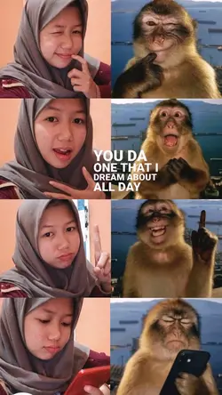 Trend Foto Monyet