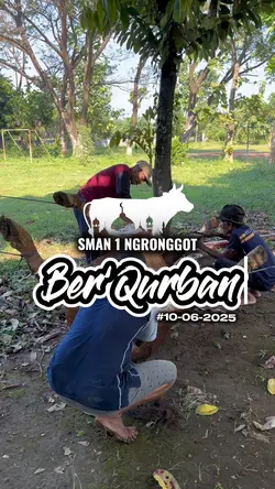 Qurban 2025