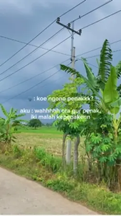 koe ngono penak