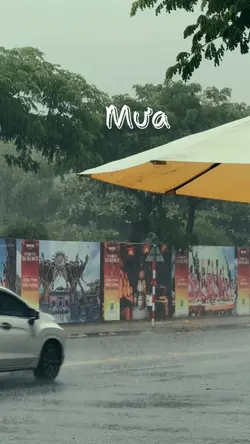 Mưa