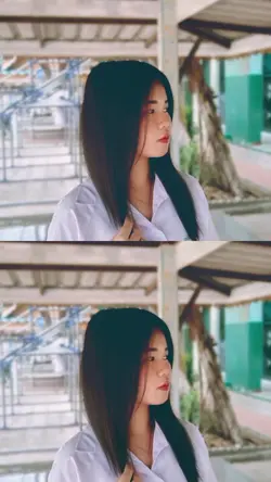 เต็มไปด้วยดอกไม้