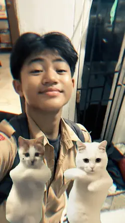 duo kucing joget 