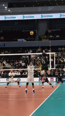 Volleyball Highlight
