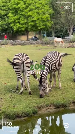 Zoo Mini Vlog