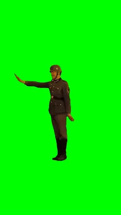 Mr. Bean salute