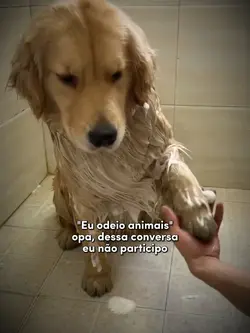 Odeio ANIMAIS