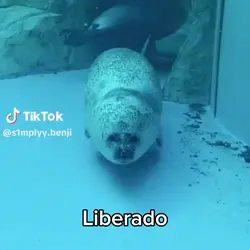 Liberado