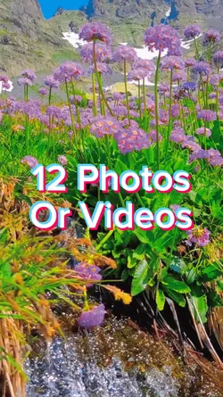 12 Photo Slides