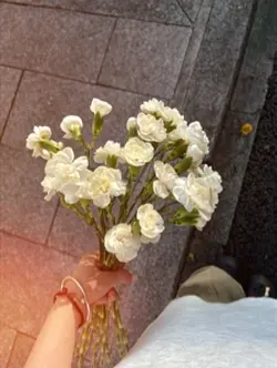 🫶🏻🌷