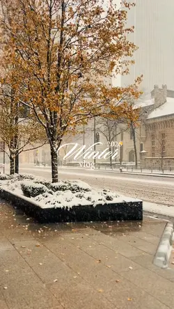 winter 2026