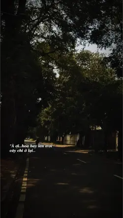 Mẫu Lyrics