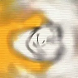 me segue aí pó