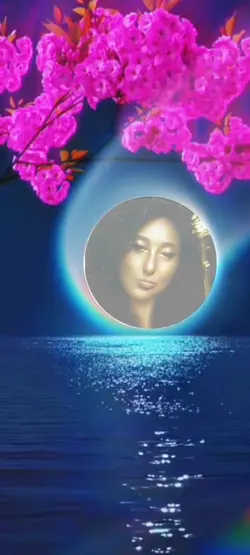 Moon night