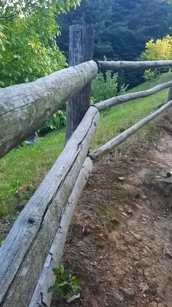 #Thenature 