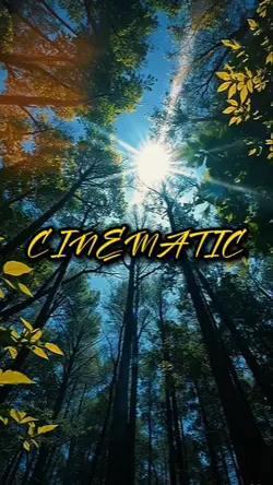 8 Cinematic Videos 