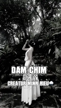 DAM CHIM