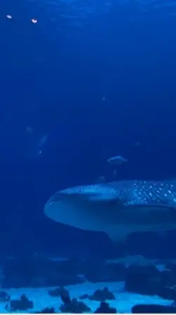 aquarium vlog 