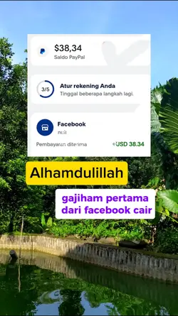 fb pro
