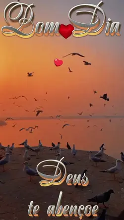 bom dia
