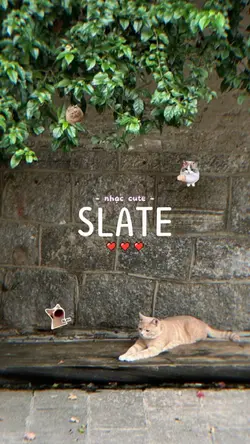 SLATE nhạc cute 2pic