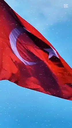 öğretmen 