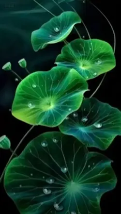 3D live wallpaper