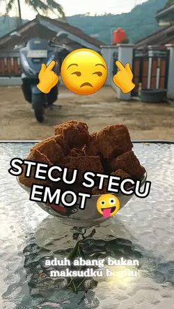 STECU STECU EMOTICON
