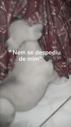 luto