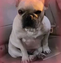 Lucy core