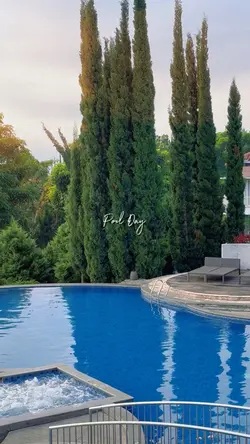 Pool Day