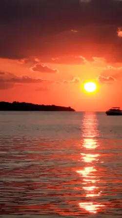 aesthetic sunset