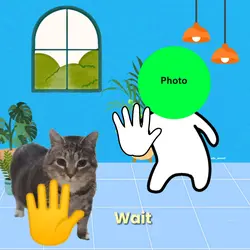 KUCING AKMAL DANCE