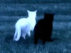 ㅤ