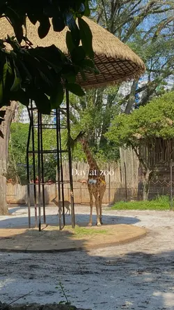 Day at the Zoo