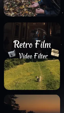 Film Filter 🎞️