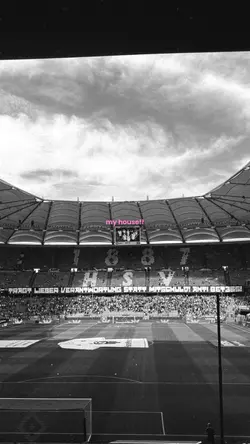 my house 🏟️
