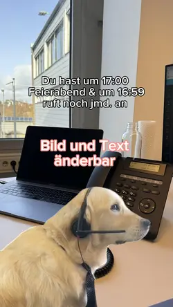 Hund schaut Meme