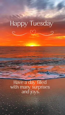 Happy Tuesday 🌷🌷🌷