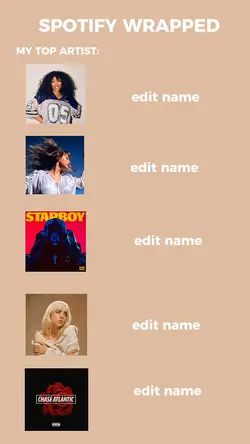Spotify interface