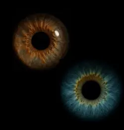 Yeux/Eyes 