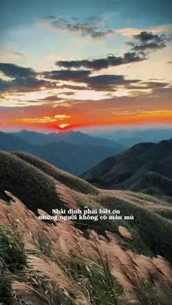 Nhất định phải biết