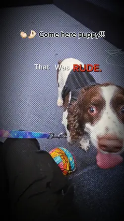 RUDE