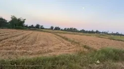 Hello Vietnam