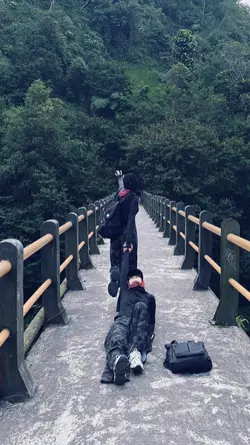 aesthetic 