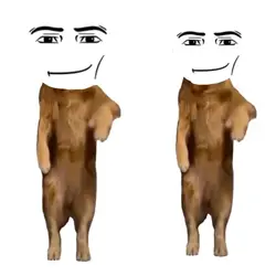 duo ver 